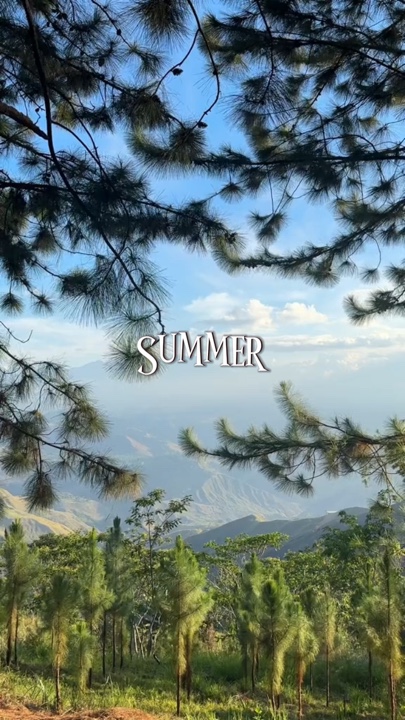 Summer 2024