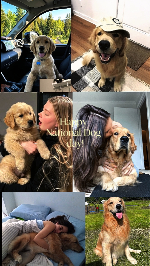 National Dog day