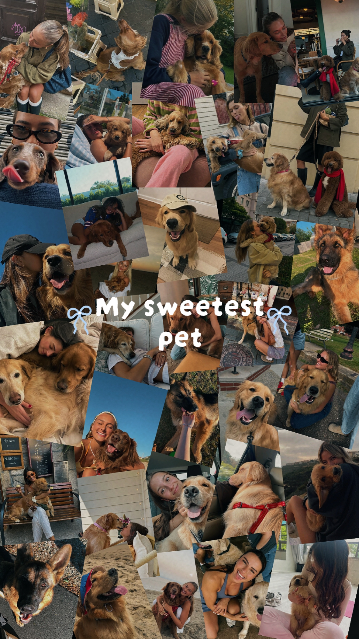 MY SWEETEST PET