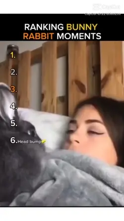 Ranking Bunny Moment