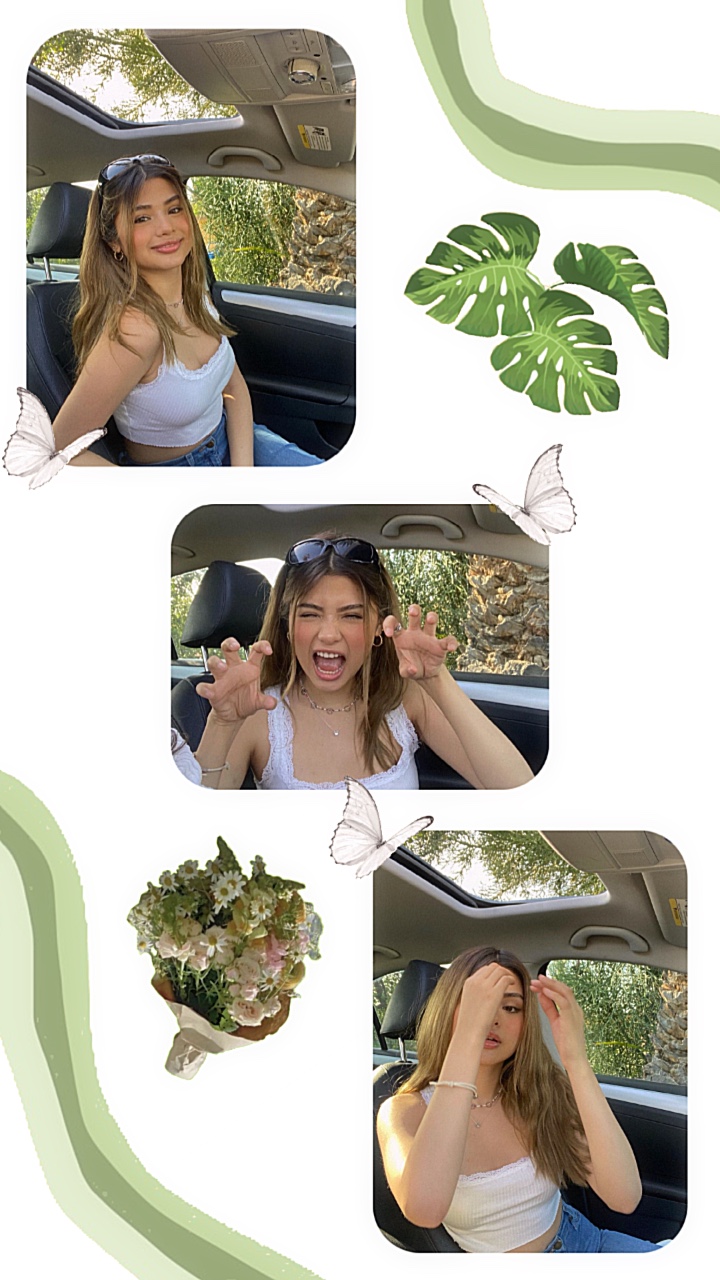 3 pics