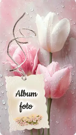 album