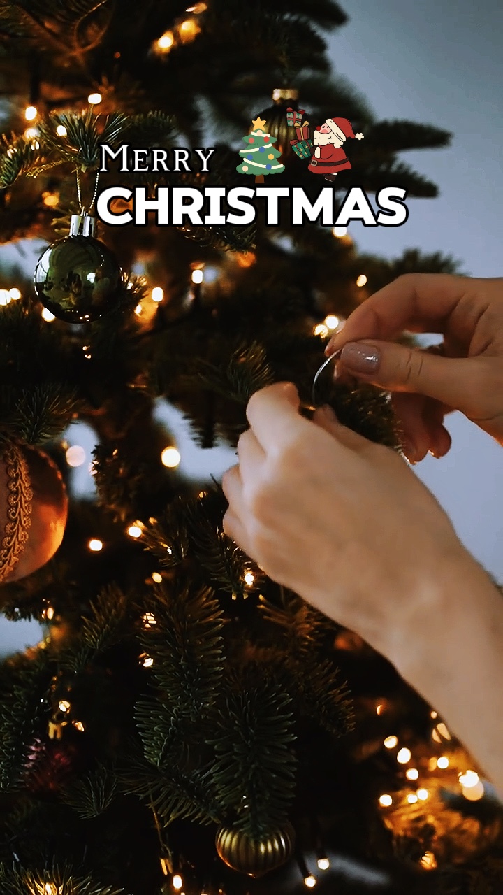 메리 크리스마스🎅🎄