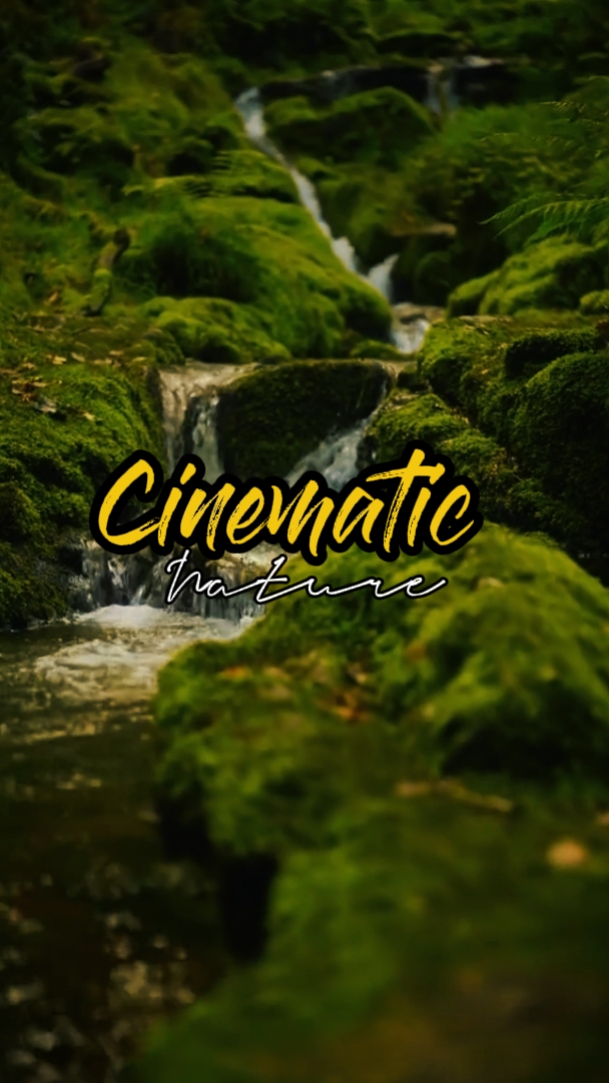 cinematic nature 