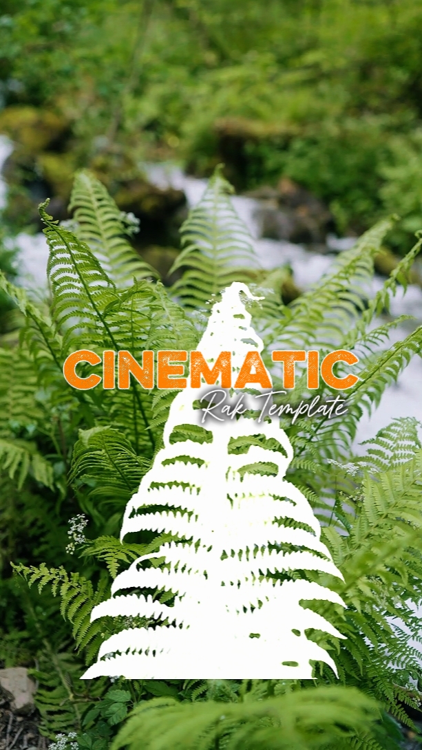 Cinématique Rak