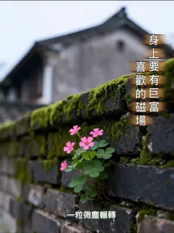 格局