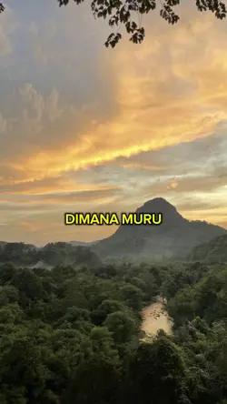 Dimana muru