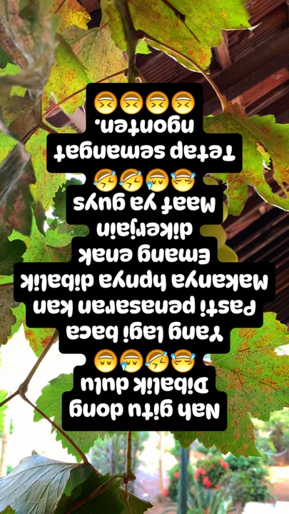 Bobinas Fbpro 