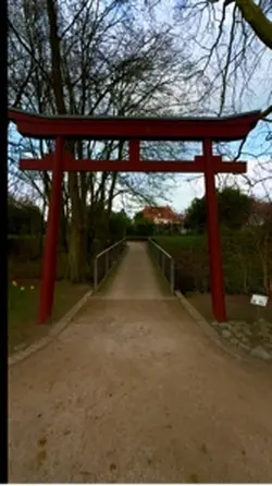 Bonsai garden