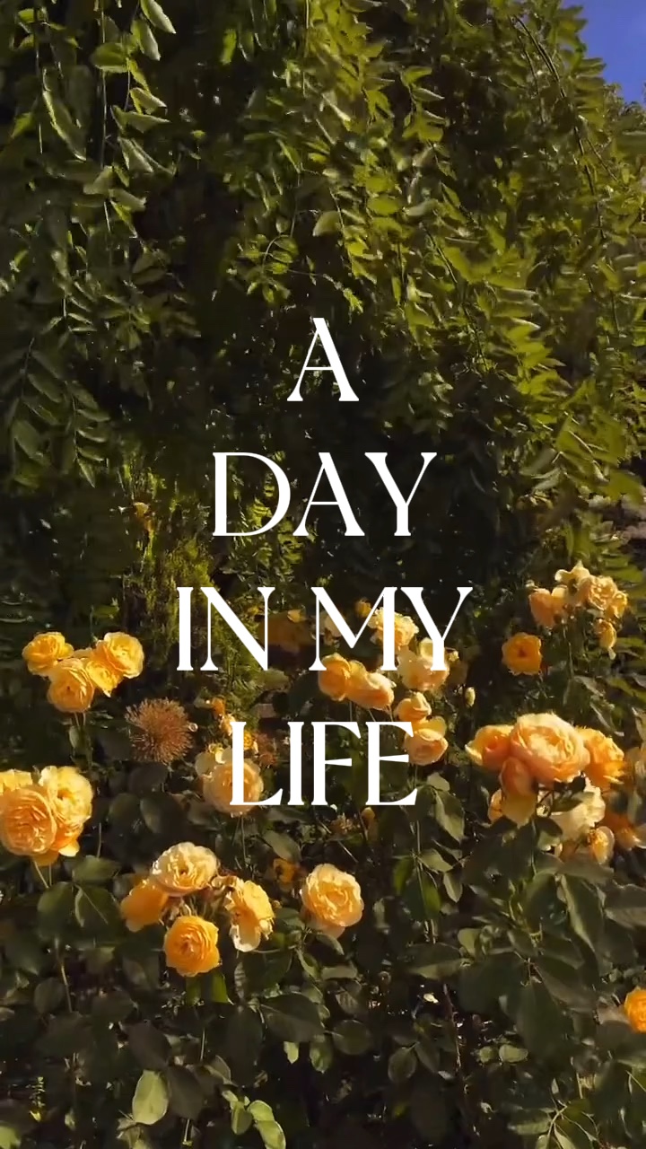 A day in my lif