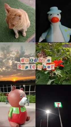 Goodbye September 