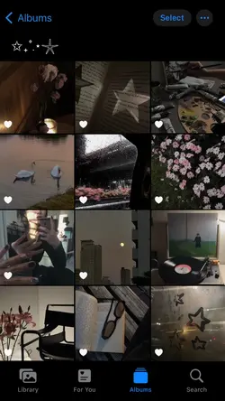 12 pics/videos