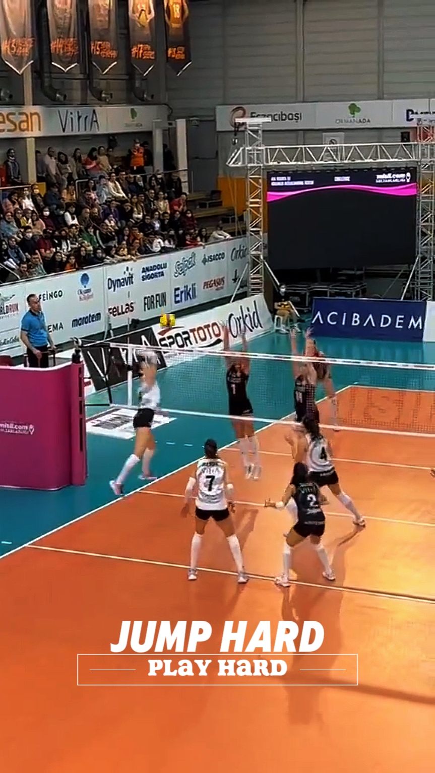 Sports - Volleyball