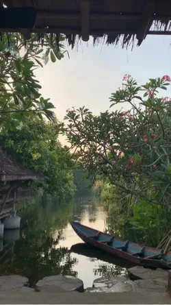 morning vibe nature