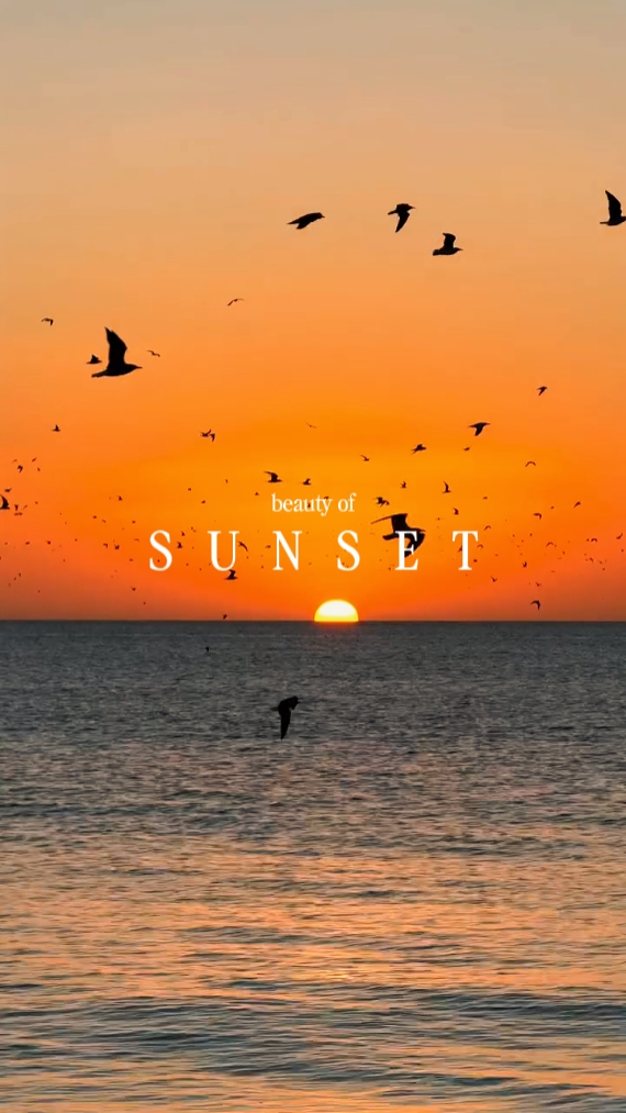 Schönheit des Sonnenuntergangs