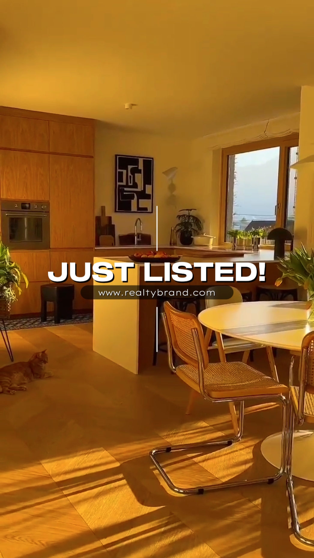 Just Listed Property
