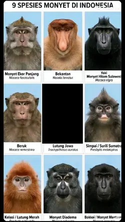 isi foto temen kamu