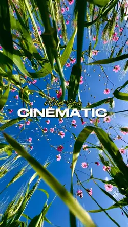 Cinematic 6 Videos 