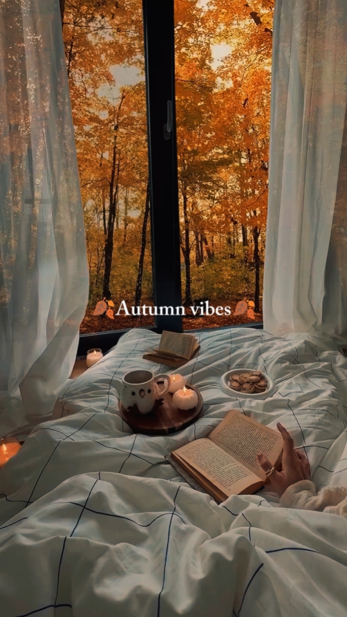 Autumn Vibes 