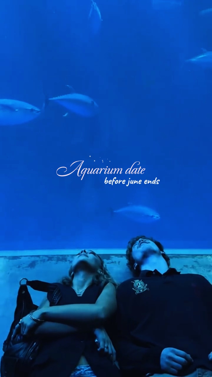 水族馆约会