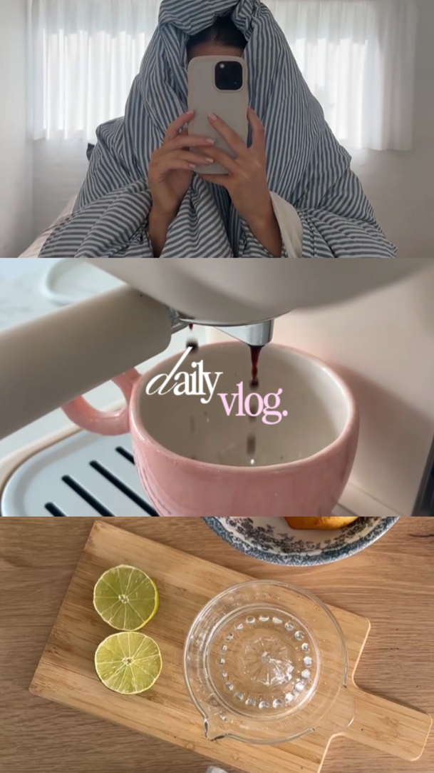 vlog harian