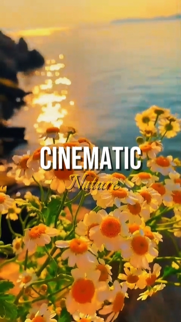 Cinematográfico