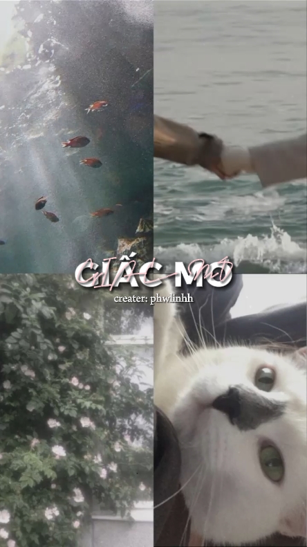 Giấc mơ