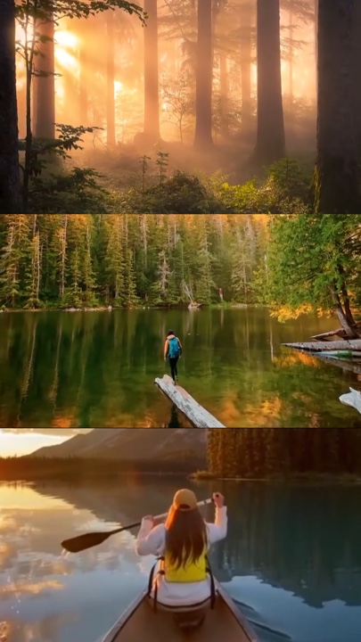 Collage cinematográfico