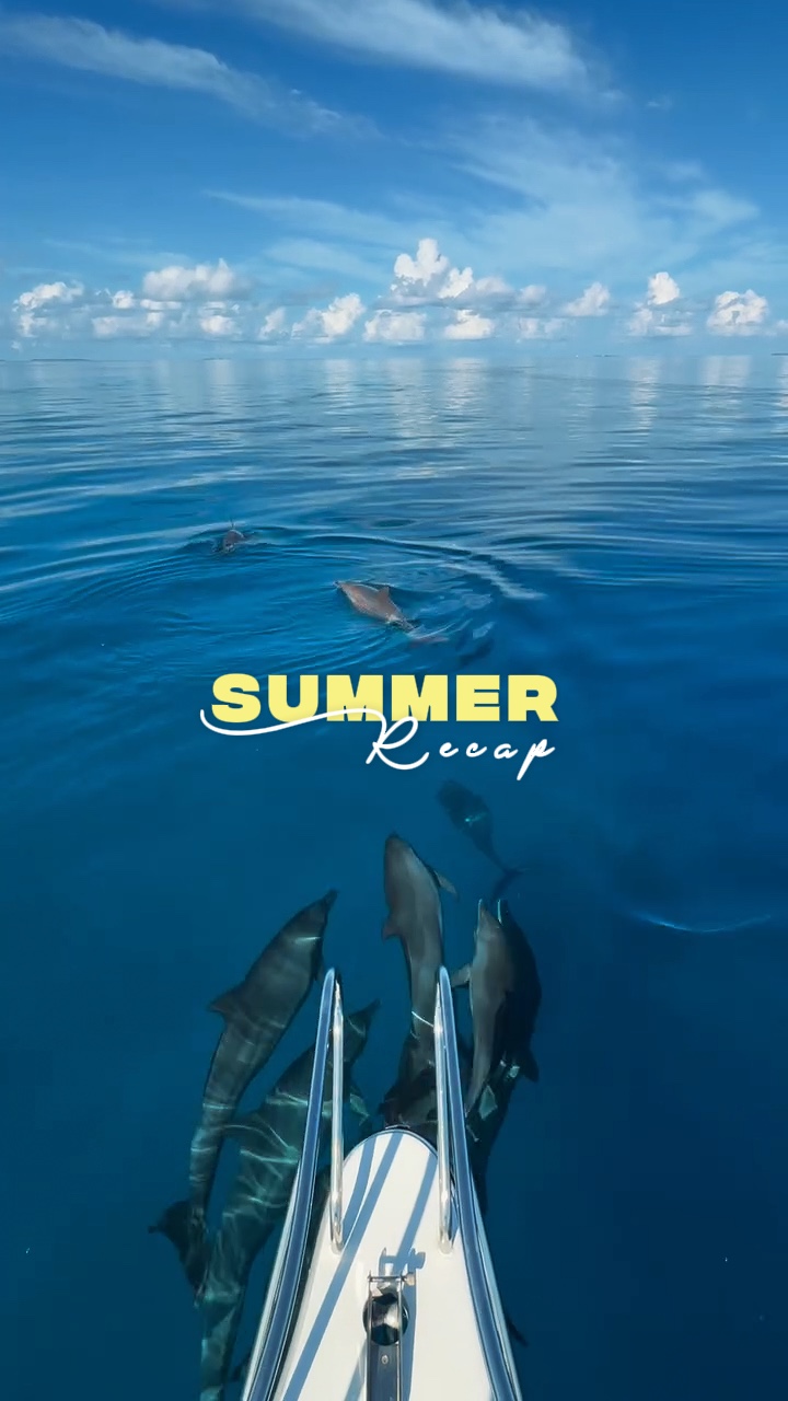 RESUMEN DE VERANO