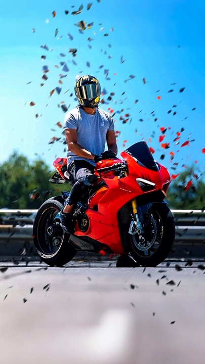 Cover Picture