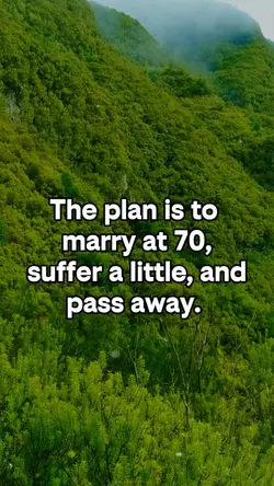 The plan
