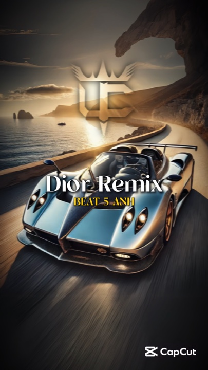 DIOR Remix