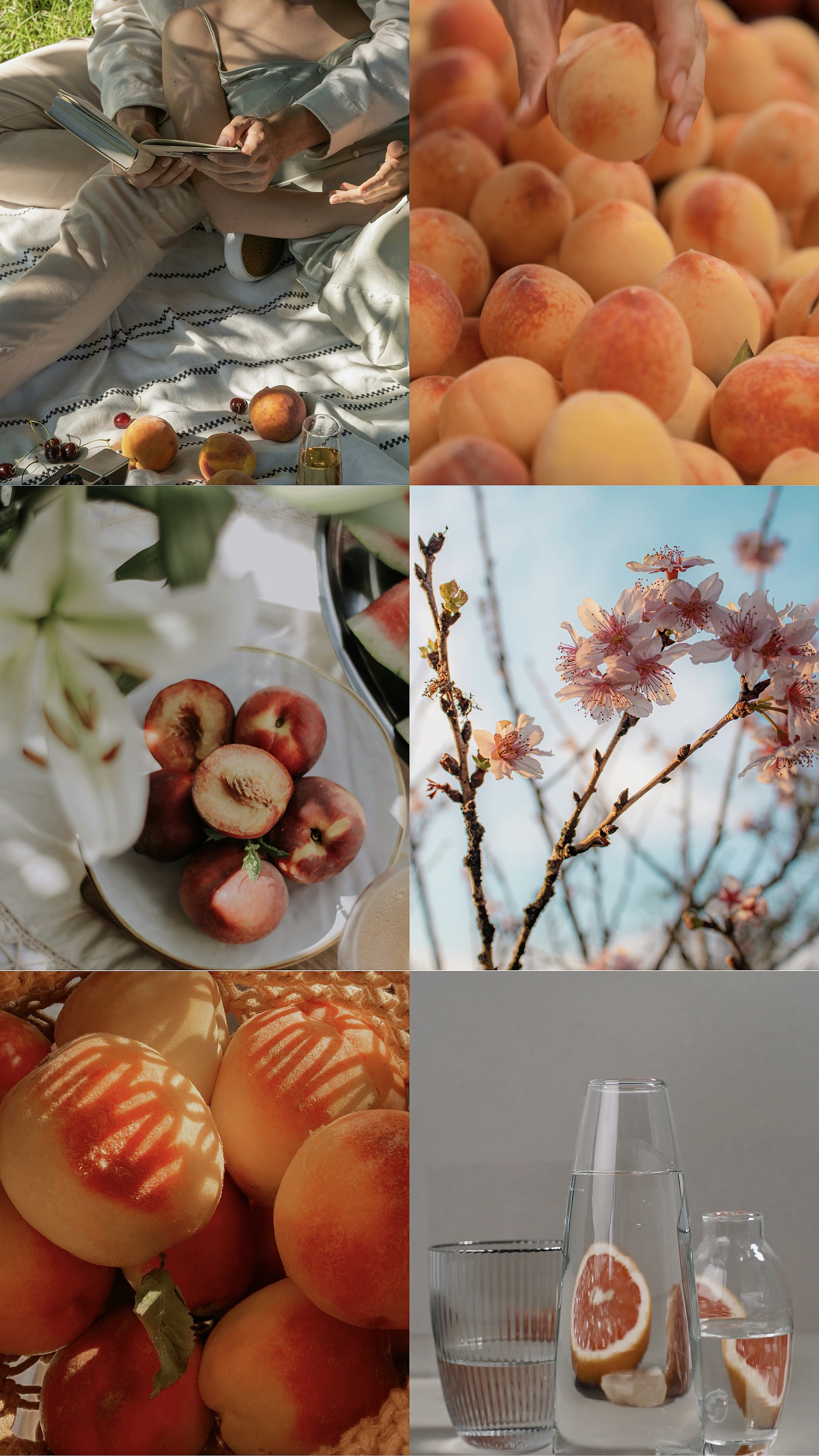 6 collage 