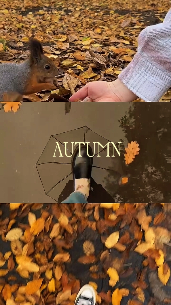 autumn