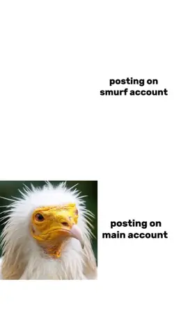 free to use template