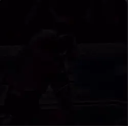 Free Edit