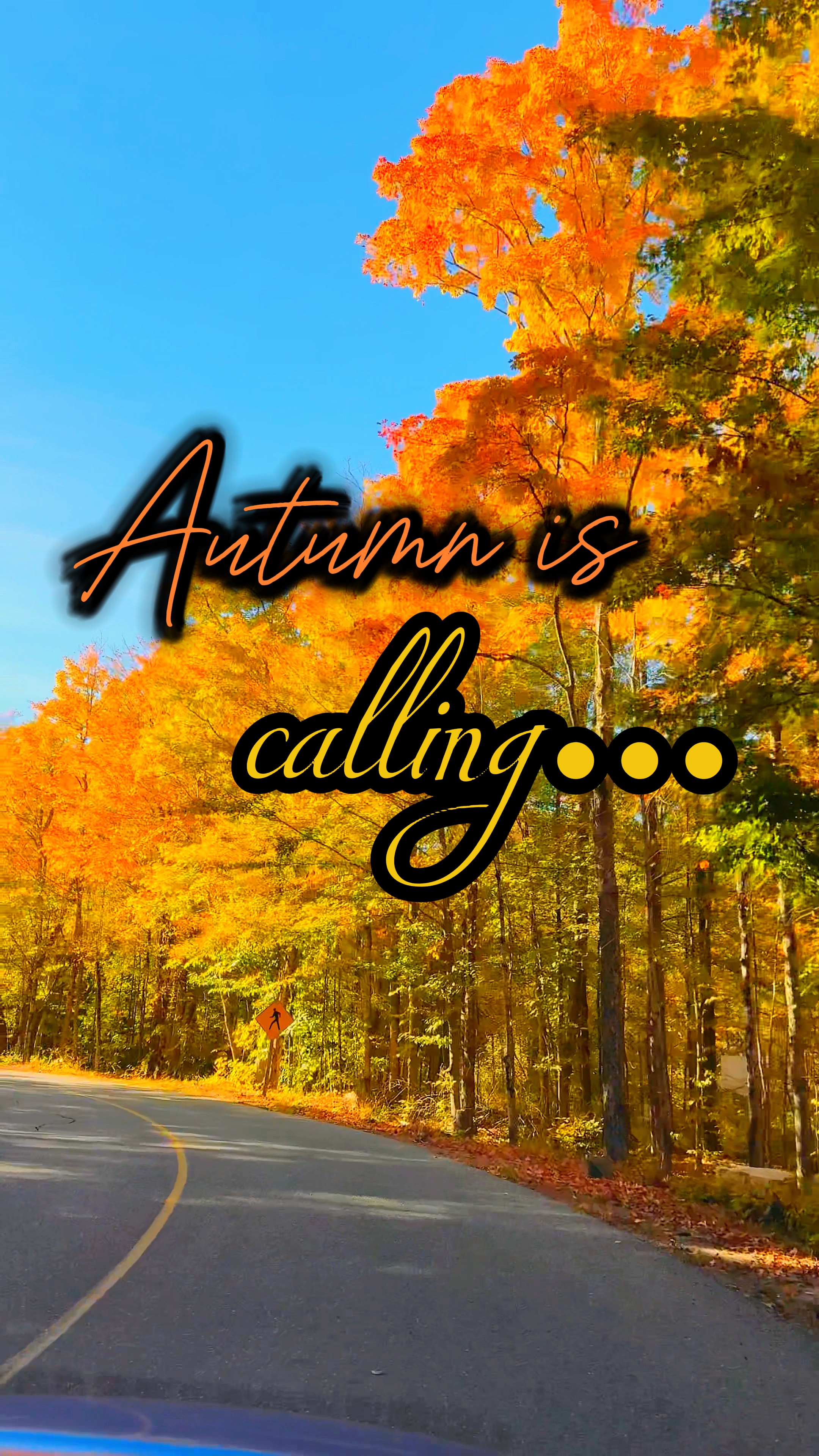 Autumn is calling