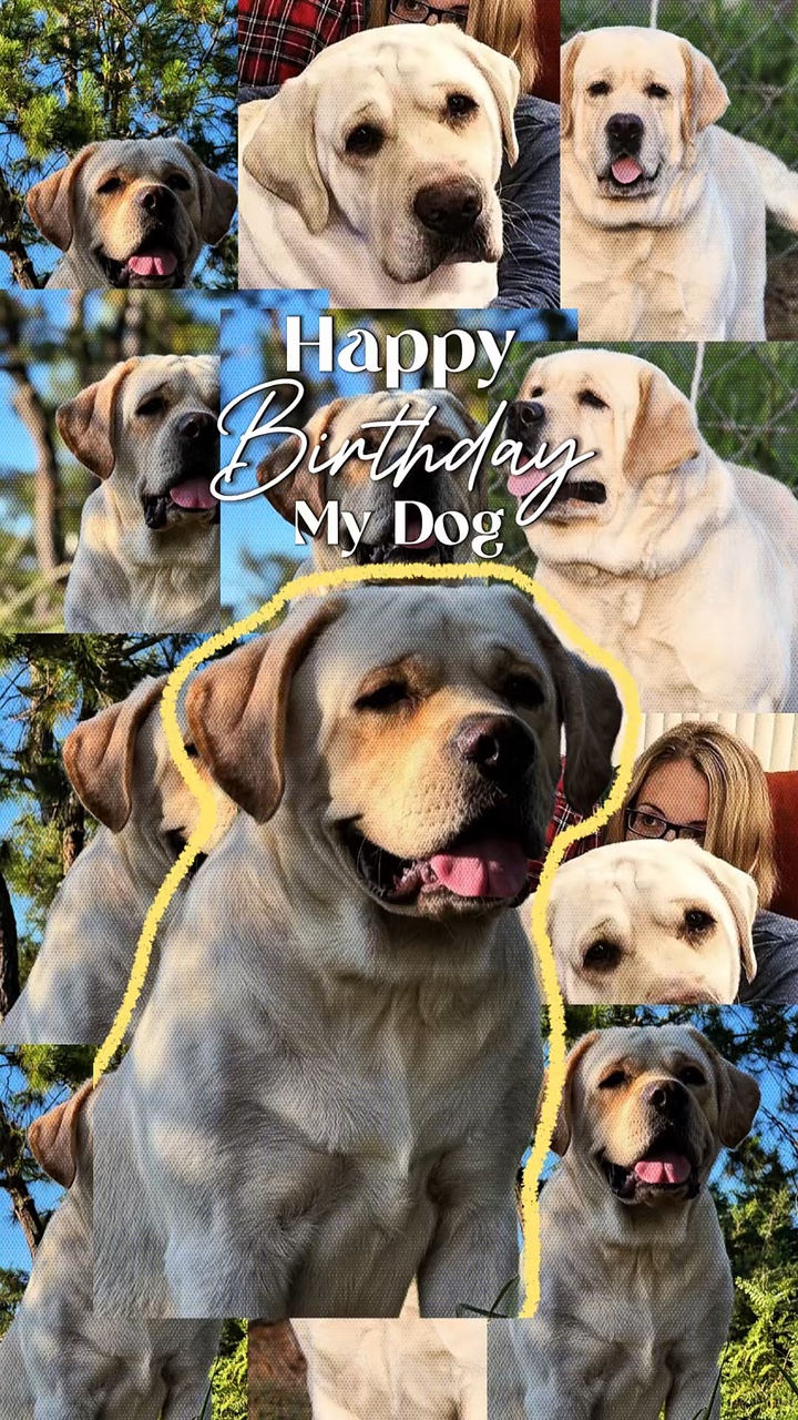 HBD MY DOG