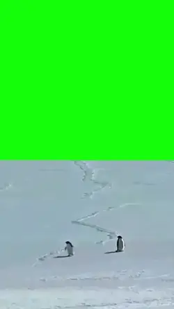But Why Penguin