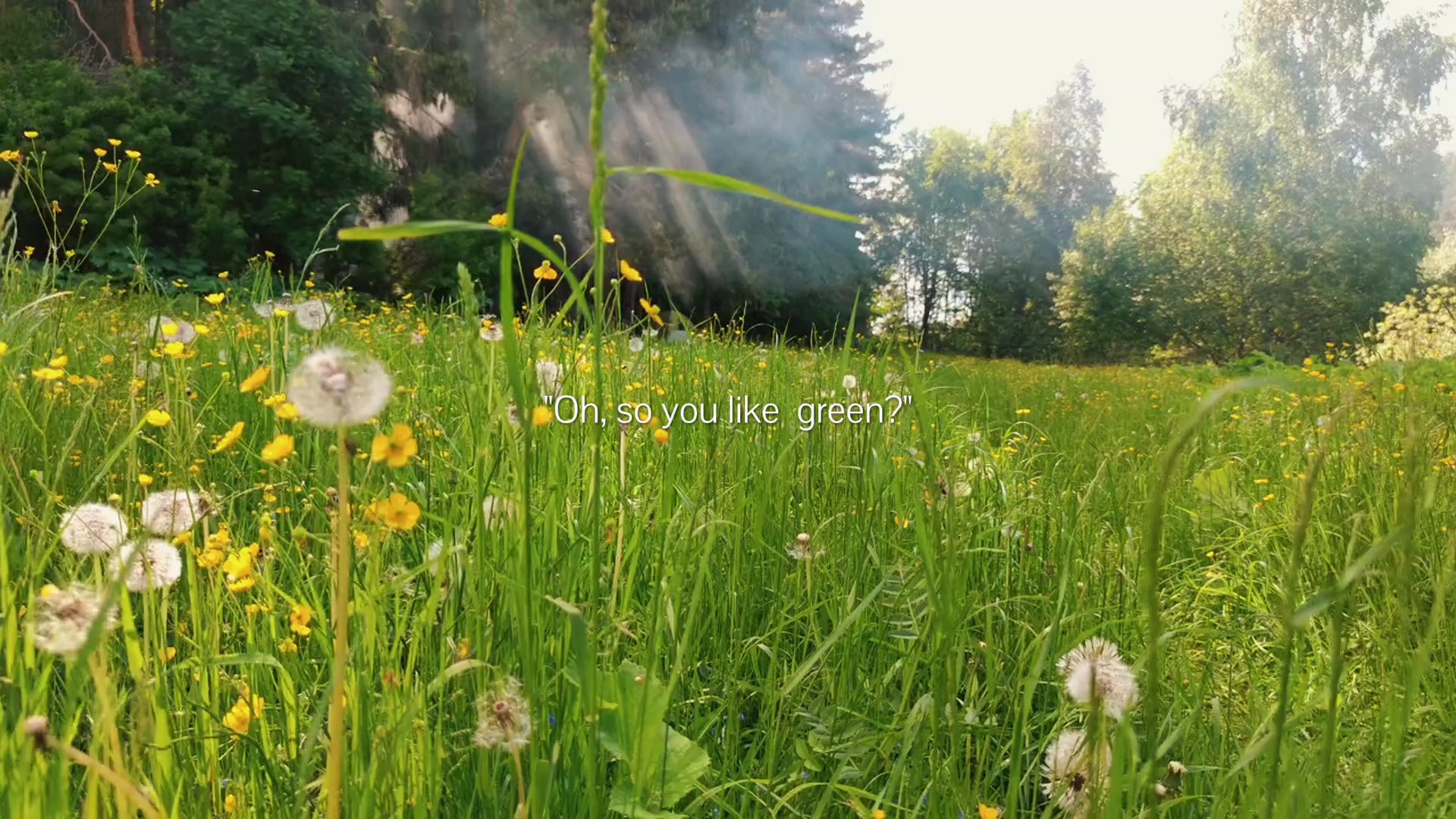 So you like green?