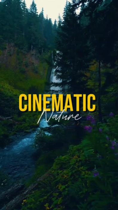 Cinematic 