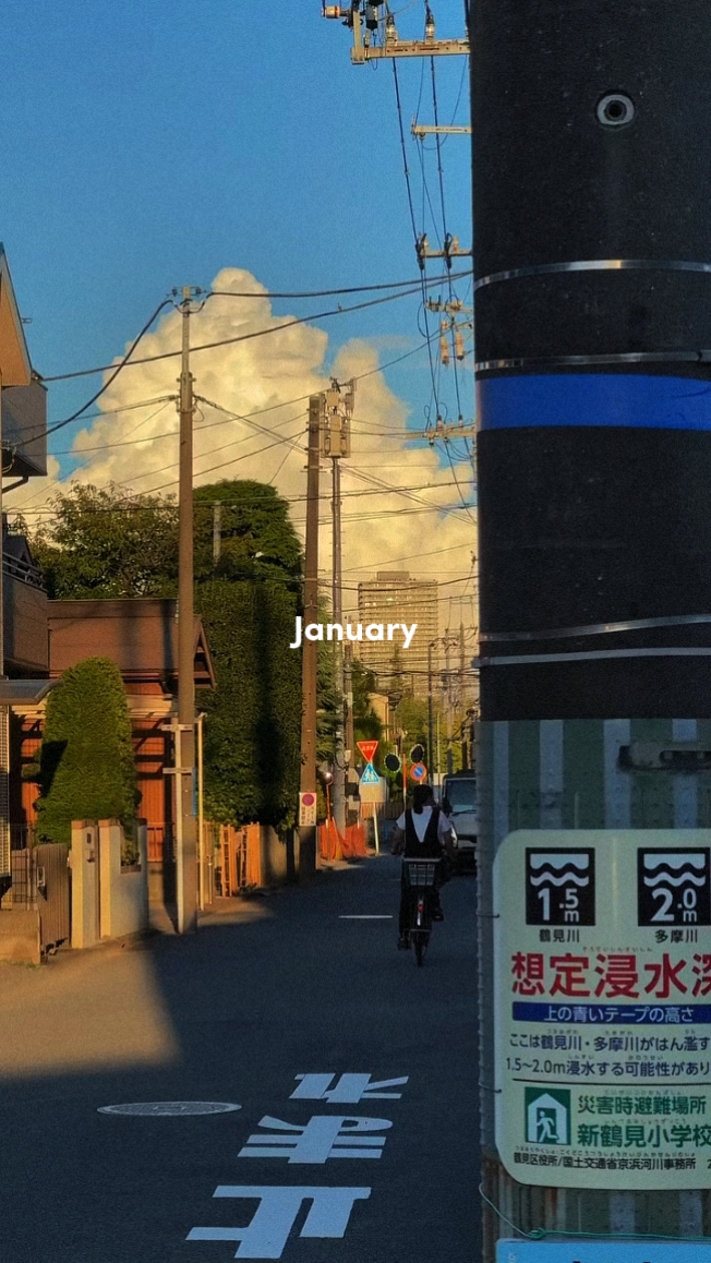 2024 12 vid/foto