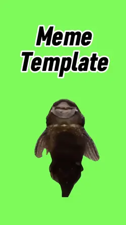 Funny Fish singing