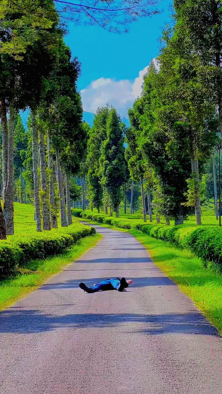 5 video clip