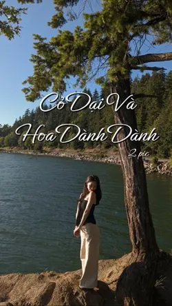 Cỏ Dại Và Hoa Dành
