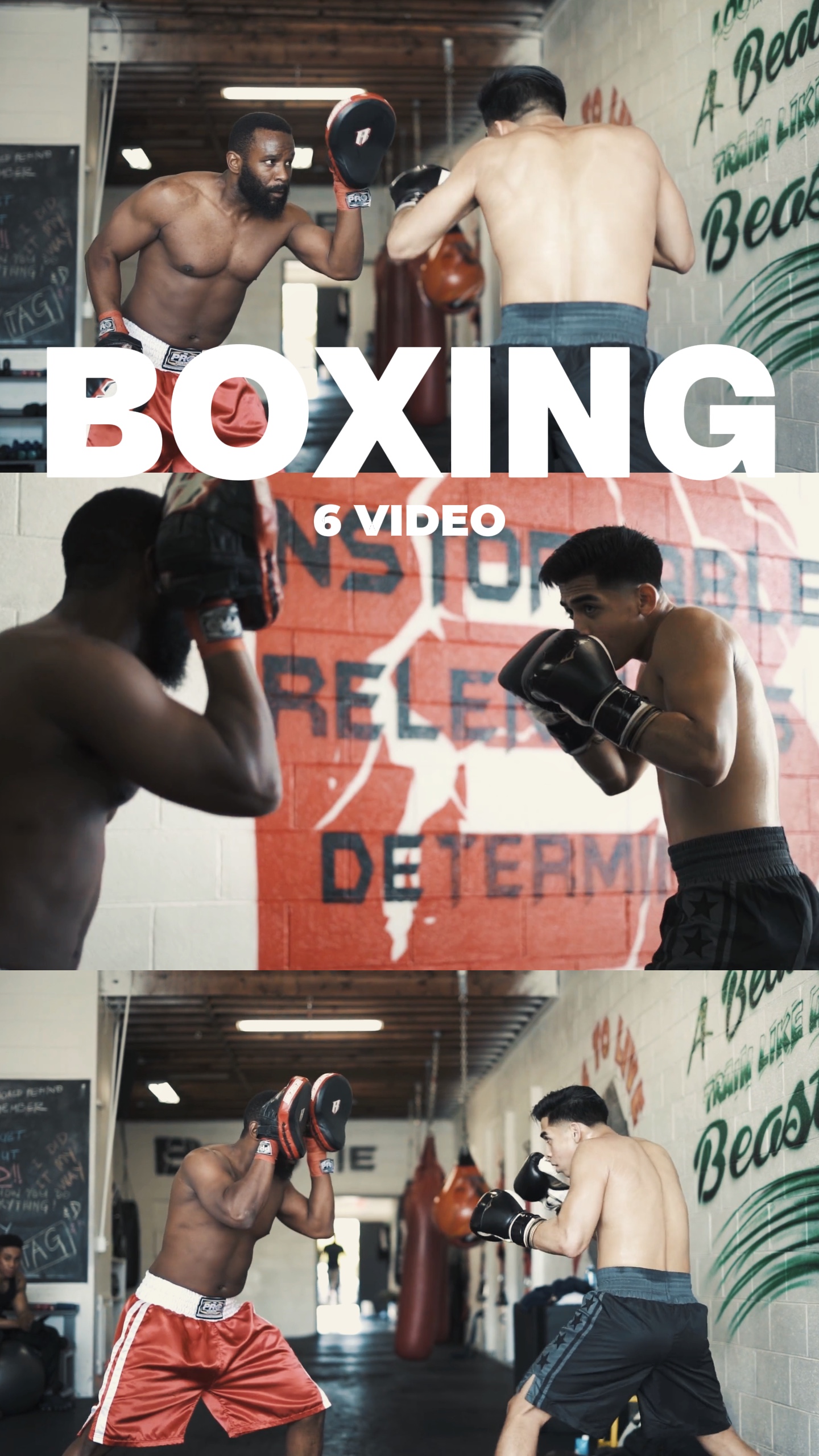 Boxing 6 Video