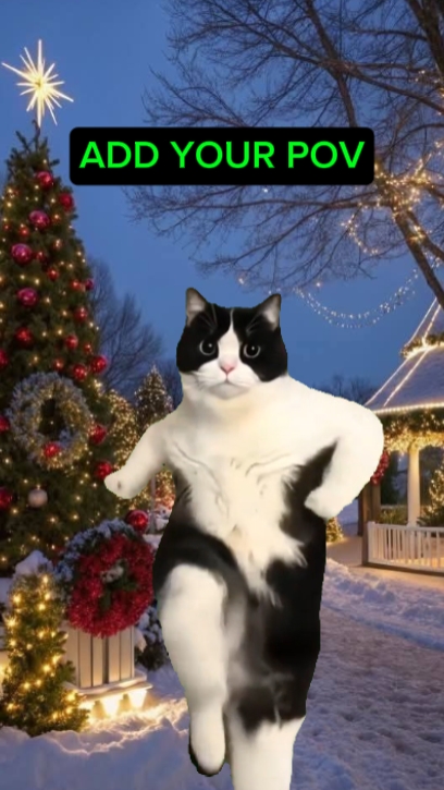 Dans Eden Kedi Meme
