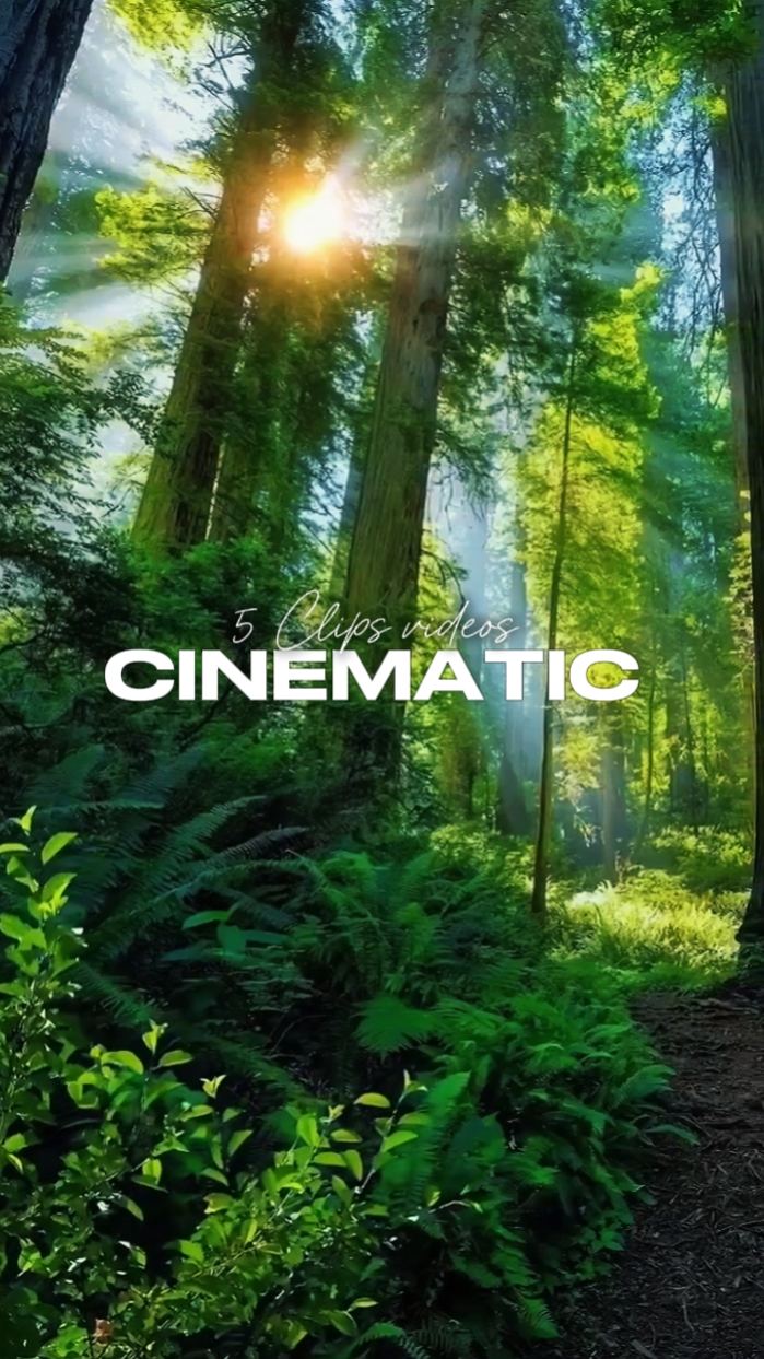 5 Clips Cinématique 