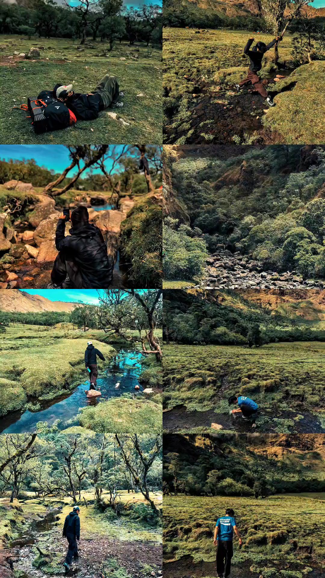 8 photo nature