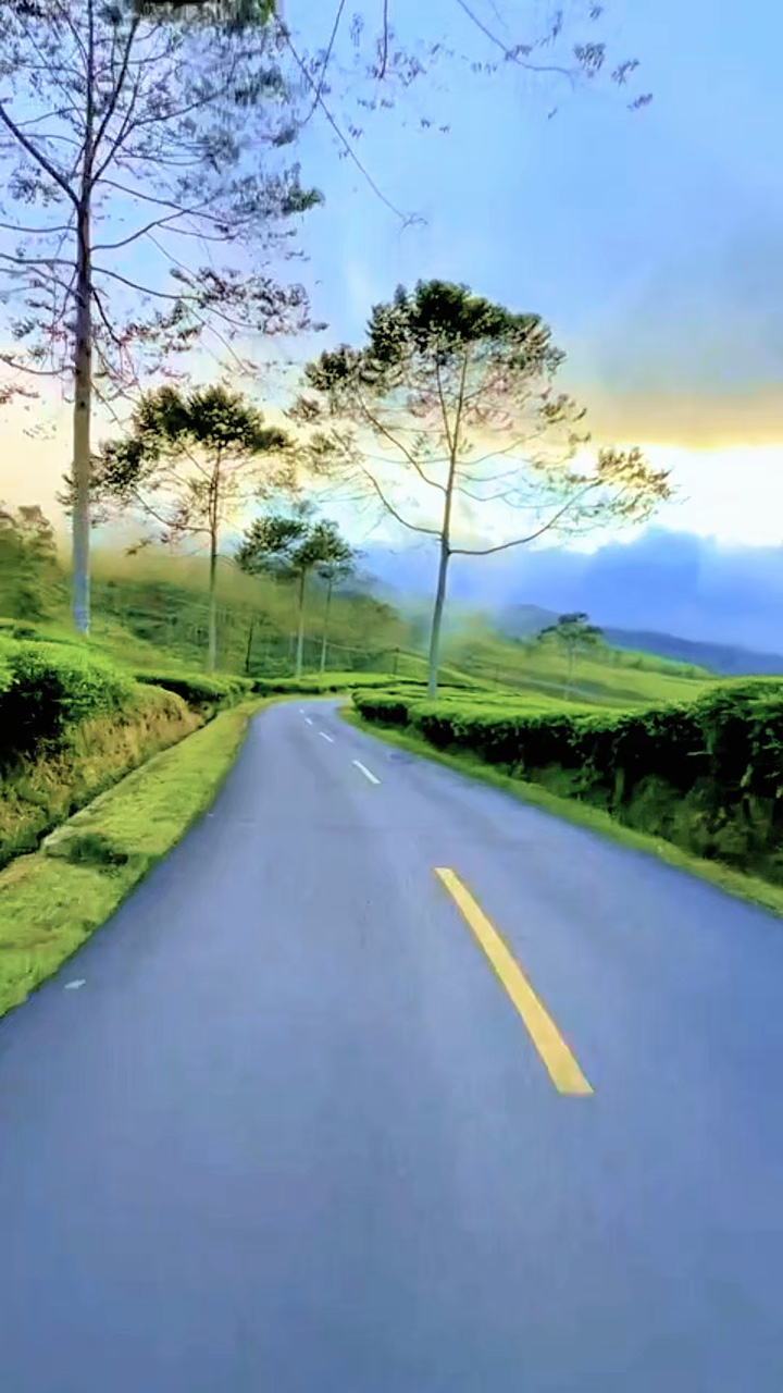 6 clipes de viagem